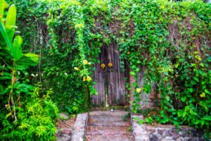 7 Advantages of Open Spaces in & around Homes