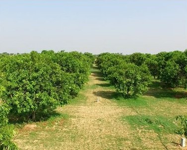 10 Reasons to Consider Farmland as an Alternative to Stocks